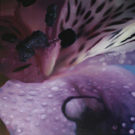 'Peruvian Lily 4' Oil on canvas, 70 x 70cm